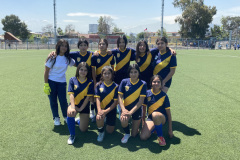 Damas2-Sub14